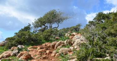 Полуостров и заповедный парк акамас Акамас кипр отзывы
